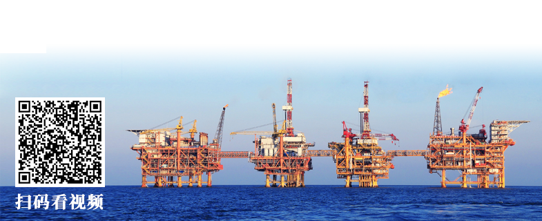 ���ְ�spin8(�й���)�ֻ���ٷ���վ